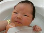 純真 ちゃん
