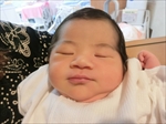 叶芽 ちゃん