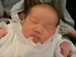 日葵 ちゃん