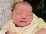 もか ちゃん