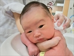 緑 ちゃん