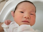 金太郎 ちゃん