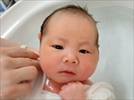 香菜 ちゃん