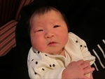 向葵 ちゃん