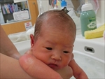 ことは ちゃん