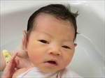 日向葵 ちゃん