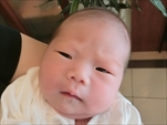 さくら ちゃん"