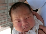 妃葵 ちゃん"